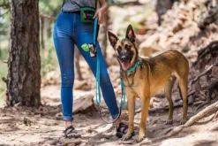 OllyDog Flagstaff Adjustable Spring Leash Sage Bark| Taluttimet