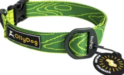 OllyDog Flagstaff Collar Sage Bark| Kaulapannat