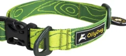 OllyDog Flagstaff Collar Sage Bark| Kaulapannat