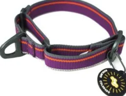 OllyDog Kaulapannat^Martingale Mesa Collar Wild Aster