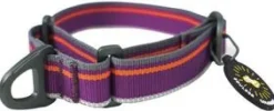OllyDog Kaulapannat^Martingale Mesa Collar Wild Aster