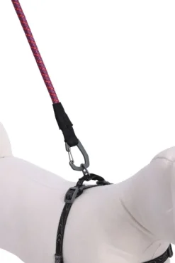 OllyDog Taluttimet^Mountain Leash talutin, violetti