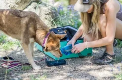 OllyDog OllyBottle Plum 600 ml| Koiranomistajan Tarvikkeet