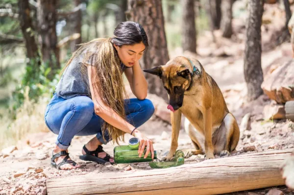 OllyDog OllyBottle Plum 600 ml| Koiranomistajan Tarvikkeet