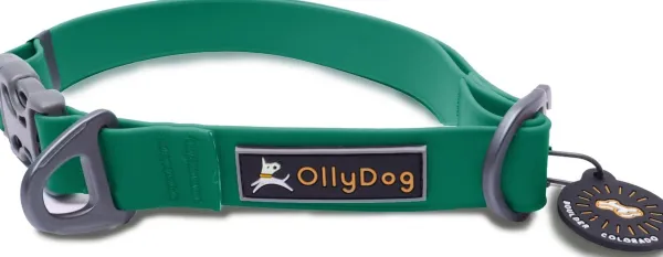OllyDog Kaulapannat^Tilden Collar kaulapanta, vihreä