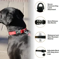 OllyDog Kaulapannat^Tilden Collar kaulapanta, vihreä