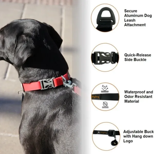 OllyDog Kaulapannat^Tilden Collar kaulapanta, vihreä