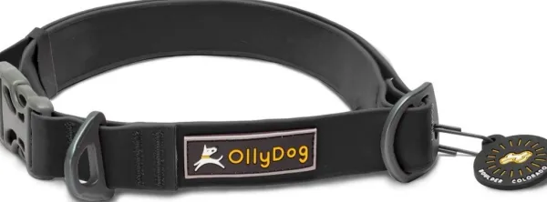 OllyDog Kaulapannat^Tilden kaulapanta, musta