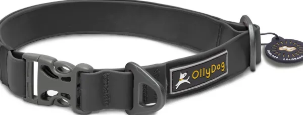OllyDog Kaulapannat^Tilden kaulapanta, musta