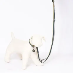 OllyDog Taluttimet^Urban Trail Adjustable Leash talutin, musta