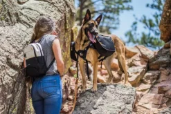 OllyDog Taluttimet^Urban Trail Adjustable Spring Leash Anthracite