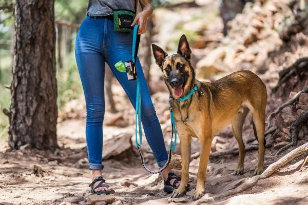 OllyDog Urban Trail Adjustable Spring Leash Air Blue| Taluttimet