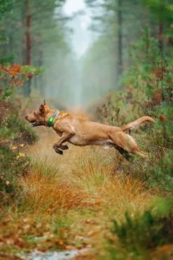 Orbiloc Vilkkuvalot Ja Huomiotuotteet^Vihreä Dual