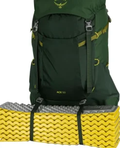 Osprey Reput Ja Rinkat^Ace 50 Blue Spikemoss/Deep Peyto Kids
