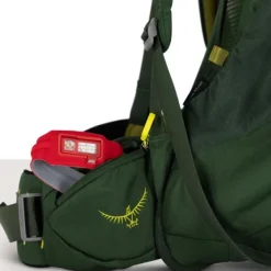 Osprey Reput Ja Rinkat^Ace 50 Green Canopy/Matcha Green Kids