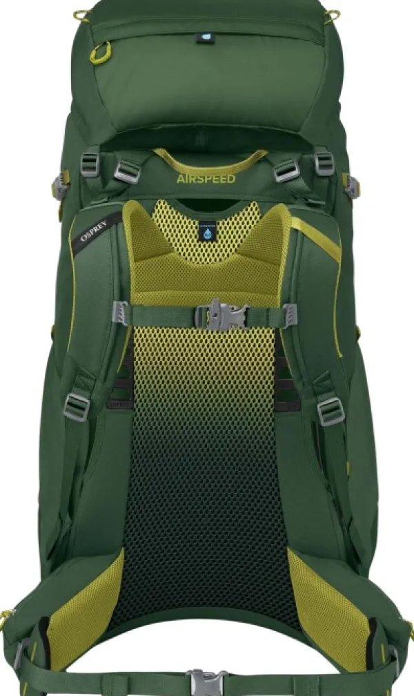 Osprey Reput Ja Rinkat^Ace 50 Green Canopy/Matcha Green Kids