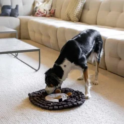 Ozami Hundleksak Snuffle Mat Lion 47 cm| Aktivointilelut