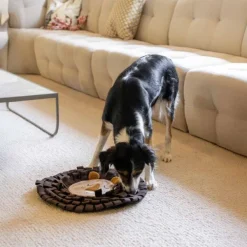 Ozami Hundleksak Snuffle Mat Lion 47 cm| Aktivointilelut