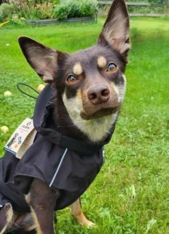 Ozami Rain Jacket Black 2XL 60 cm| Sadetakit