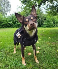 Ozami Sadetakit^Rain Jacket Black 3XL 65 cm