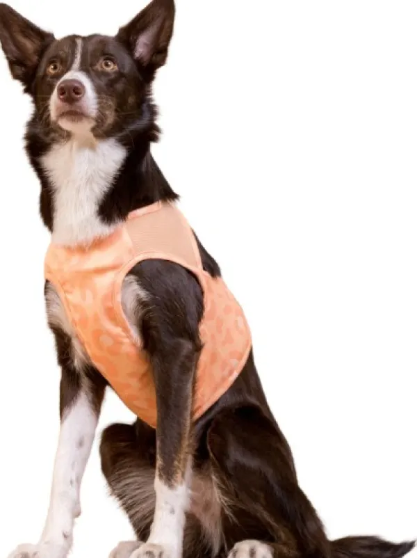 PAIKKA Cool Vest Peach S-M| Viilennys Ja Aurinkosuoja