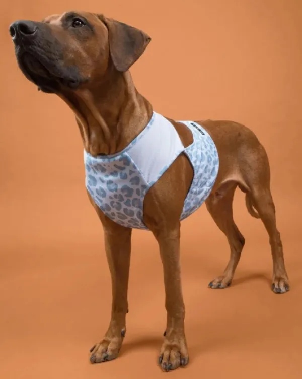 PAIKKA Viilennys Ja Aurinkosuoja^Cool Vest viilennysliivi, S-M, Snow Leo