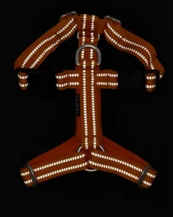 PAIKKA Easy Harness valjaat, S-L, Orange| Valjaat