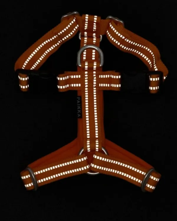 PAIKKA Easy Harness valjaat, S-L, Orange| Valjaat