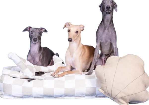 PAIKKA Pehmeät Lelut^Giraffe Toy