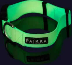 PAIKKA Glow Collar kaulapanta, Ombre| Vilkkuvalot Ja Huomiotuotteet