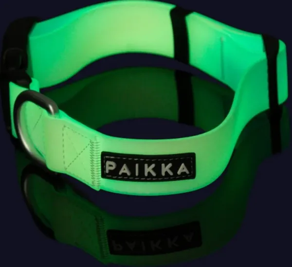 PAIKKA Glow Collar kaulapanta, Ombre| Vilkkuvalot Ja Huomiotuotteet