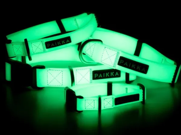 PAIKKA Glow Collar kaulapanta, 2,5x44-65 cm, White| Kaulapannat