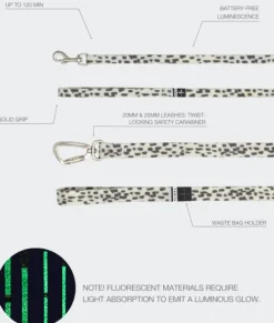 PAIKKA Glow Leash 2.0 talutushihna| Taluttimet