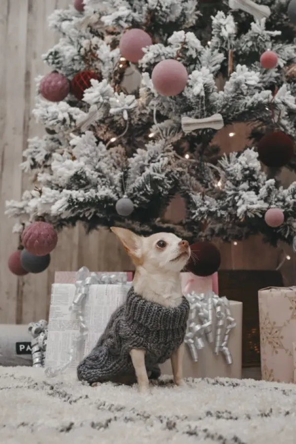 PAIKKA Handmade Knit koiran neulepusero, 45-50 cm, maastonvihreä| Neuletakit