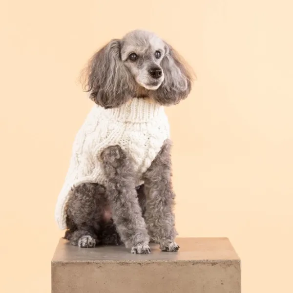 PAIKKA Handmade Knit koiran neulepusero, 20-30 cm, luonnonvalkoinen| Neuletakit