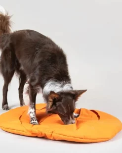 PAIKKA Aktivointilelut^Pumpkin Playmat Squash aktivointimatto, oranssi