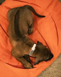 PAIKKA Aktivointilelut^Pumpkin Playmat Squash aktivointimatto, oranssi