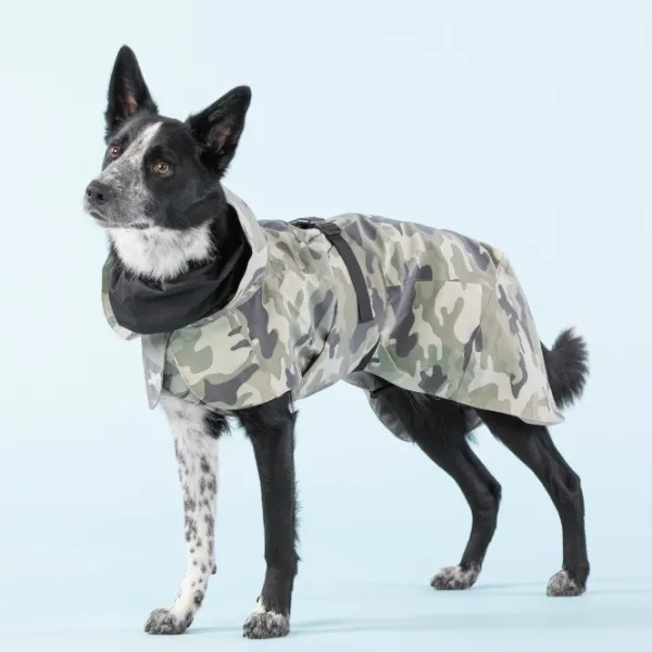 PAIKKA Recovery Raincoat koiran sadetakki, 35-50 cm, Camo| Sadetakit