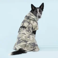 PAIKKA Recovery Raincoat koiran sadetakki, 35-50 cm, Camo| Sadetakit