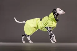 PAIKKA Sadetakit^Reflective Shell Raincoat Matcha 30 cm