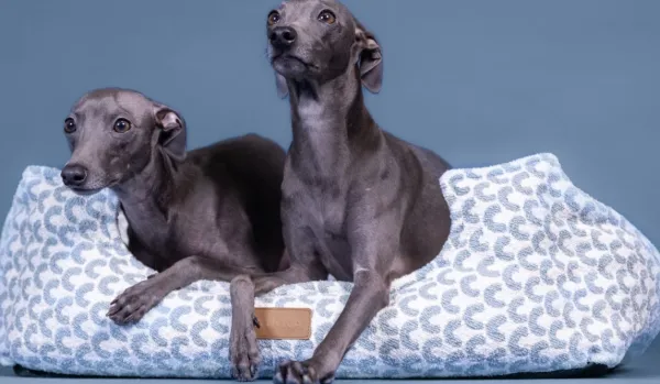 PAIKKA Koiranpedit^Treasure Bed Blue 70 x 60 cm