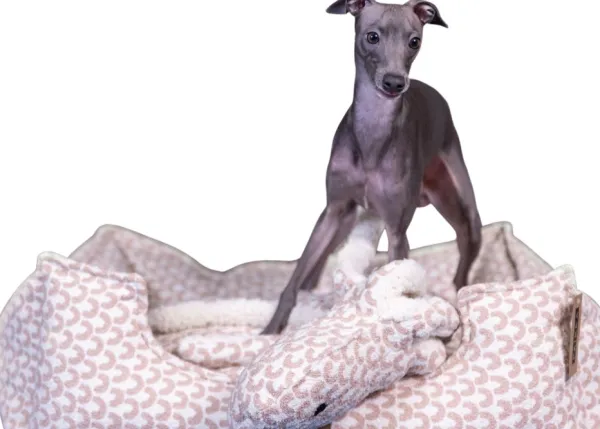 PAIKKA Treasure Bed Pink 95 x 75 cm| Koiranpedit