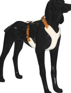 PAIKKA Visibility Harness koiran valjaat, S, oranssi| Valjaat