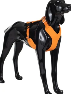 PAIKKA Valjaat^Visibility Harness koiran valjaat, M-L, oranssi