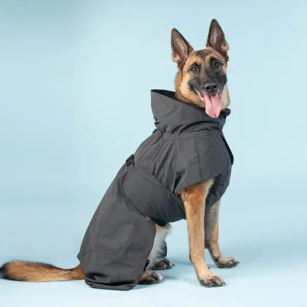 PAIKKA Visibility Raincoat koiran sadetakki, 35-50 cm, harmaa| Sadetakit