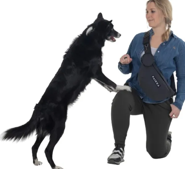 PAIKKA Visibility Treat Bag laukku, Dark| Koiranomistajan Tarvikkeet