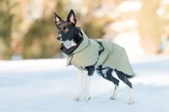 PAIKKA Talvitakit^Visibility Winter Jacket talvitakki infrapunakangasvuorilla, 30 cm, lila