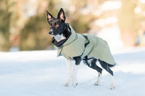 PAIKKA Talvitakit^Visibility Winter Jacket talvitakki infrapunakangasvuorilla, 30 cm, lila