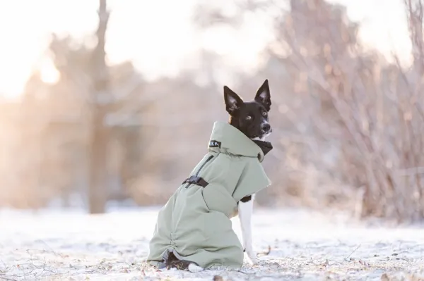 PAIKKA Talvitakit^Visibility Winter Jacket talvitakki infrapunakangasvuorilla, 30 cm, lila