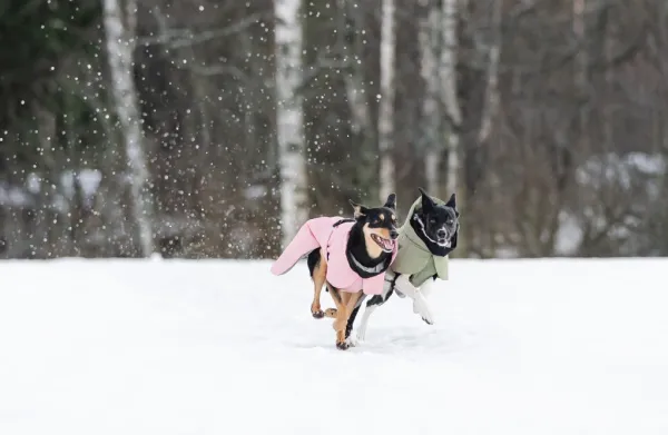 PAIKKA Talvitakit^Visibility Winter Jacket talvitakki infrapunakangasvuorilla, 30 cm, lila